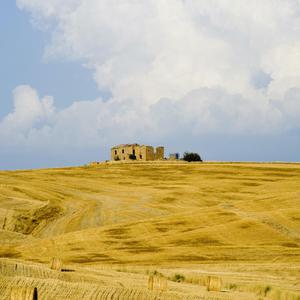 亚洲色图欧美在线观看
