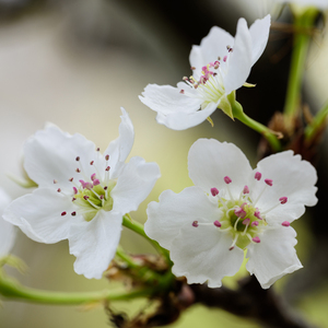 亚洲色图欧美在线观看
