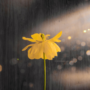 亚洲色图欧美在线观看
